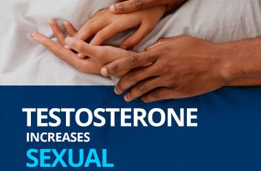 Testosterone Increases Sexual Performance